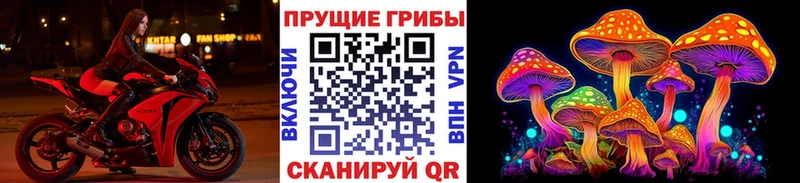 Псилоцибиновые грибы Magic Shrooms  Краснокамск 